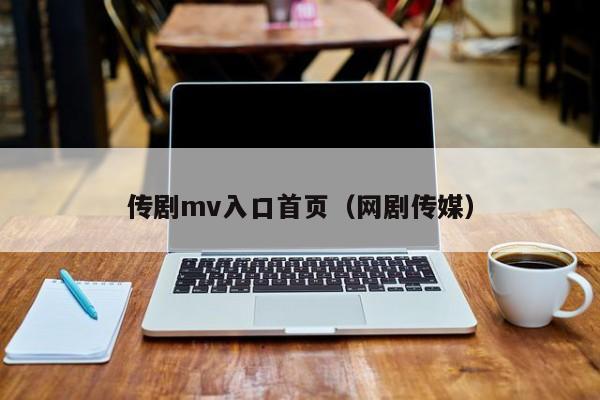 传剧mv入口首页(网剧传媒)