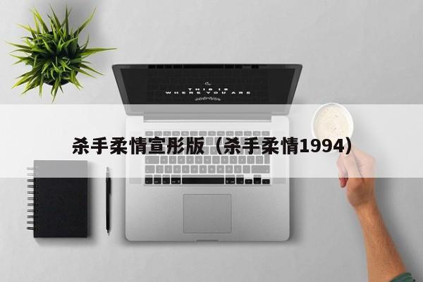 杀手柔情宣彤版(杀手柔情1994)