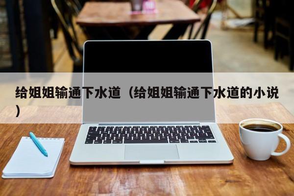 给姐姐输通下水道(给姐姐输通下水道的小说)